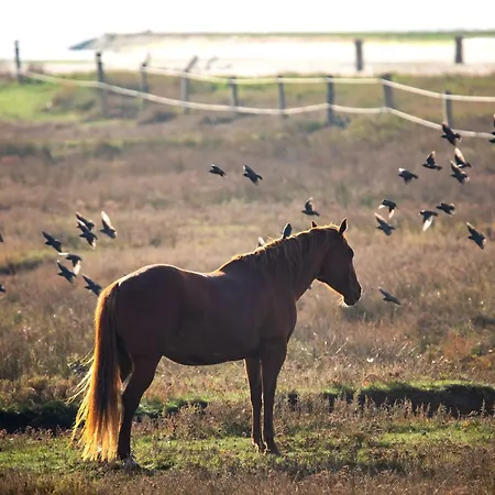 Appartementhaus Bracht - Marlene